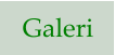 Galeri