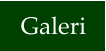 Galeri