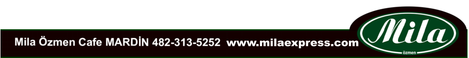 www.milaexpress.com